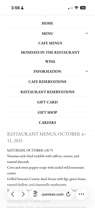 新しいSafariのデザインのスクリーンショット。URLバーで、URLの前半が切り落とされており、どのサイトにいるのか判別しにくい。