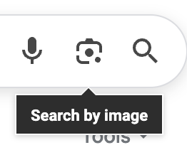 カメラのアイコンの下に「画像で検索」というテキストが出ている。